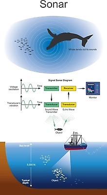 EPS 해외이미지 파도 바다 과학 일러스트 표면 거리 어류 안전 세로 반사 믿음 디지털 모니터 수중 소리 장비 보트 수술 목표 잠수함 배열 방향 진동 고래 수화기 에코 라디오 신호 아날로그 시스템 네비게이션 발견 깊이 레이더 물리학 송신기 전압 탐지 해외202004 해외일러스트 교육 감정 컨셉 배_교통 포유류 전자제품 컴퓨터 환경 수중동물 전화기 물리 파일형식 벡터 이미지허브