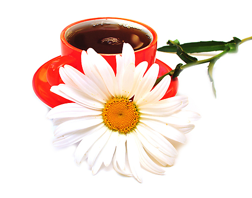 포토 JPG 해외이미지 꽃 문화 음료 음식 백그라운드 잎 자연 휴식 주택 건강 사람없음 컵 초록색 물 농작물 약 노란색 머그컵 흰색 사발 허브 컵받침 상쾌 유기농 아로마테라피 고립 캐모마일 해외202004 해외포토 자연요소 식물 식기 웰빙 감정 컬러 컨셉 농업 의학 건물 사기그릇 받침대 생태계 테라피 파일형식 이미지허브