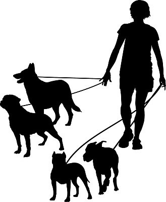 EPS 해외이미지 동물 실루엣 일러스트 서기 사람 검은색 산책 개 송곳니 고립 해외202004 해외일러스트 컬러 포유류 모션 휴식 촬영기법 치아 파일형식 벡터 이미지허브