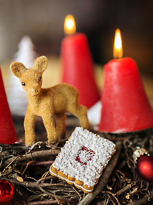 포토 JPG 해외이미지 나무 전통 계절 기독교 종교 문화 어린이 백그라운드 크리스마스 겨울 촛불 불 휴가 사슴 조명 기념 사람없음 장식 빨간색 초록색 화환 흰색 나뭇가지 축하 소나무 화려 4 영혼 12월 심볼 촛대 고립 가문비나무 해외202004 해외포토 자연요소 식물 기념일 꽃 컬러 컨셉 초 포유류 사람 숫자 날짜 파일형식 이미지허브