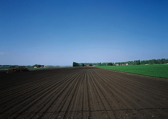 포토 JPG 해외이미지 나무 식물 구름 계절 공원 도로 길 여행 백그라운드 밭 오렌지 자연 하늘 날씨 풍경 잔디 사람없음 야외 초록색 여름 빛 햇빛 태양 농장 노란색 평화 일출 환경 정원 맑음 일몰 흙 봄 안개 광선 흰색 시골 신선 떨어짐 숲 땅 언덕 장면 넘어짐 땅바닥 방법 생태학 수평선 해외202004 해외포토 자연요소 공공시설 교육 컬러 컨셉 농업 과일 교통시설 모션 바닥 노을 생태계 파일형식 이미지허브