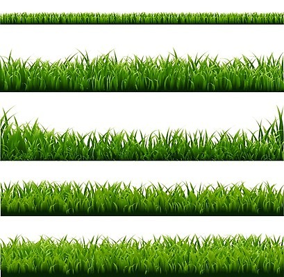 EPS 해외이미지 식물 꽃 백그라운드 잎 꽃무늬 패턴 일러스트 손가락 자연 파노라마 잔디 초록색 세트 약 환경 봄 성장 흰색 칼날 허브 데이지 수선화 길이 모종 전국 캐모마일 해외202004 해외일러스트 손 계절 컬러 무늬 의학 촬영기법 생태계 파일형식 벡터 이미지허브