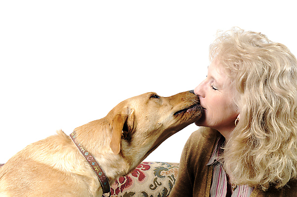 포토 JPG 해외이미지 동물 여자 포유류 친절 한명 앉기 반려동물 검은색 흰색 황금 개 강아지 래브라도리트리버 통제 육식동물 송곳니 경보 소셜 해외202004 해외포토 1 컬러 모션 사람 리트리버 치아 파일형식 이미지허브