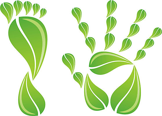 EPS 해외이미지 식물 라이프스타일 손 디자인 백그라운드 컨셉 잎 일러스트 손가락 자연 추상 손바닥 사람 그래픽 초록색 환경 재활용 엄지손가락 흰색 발자국 심볼 사인 에코 유기농 생태계 고립 생태학 양발 해외202004 해외일러스트 웰빙 교육 컬러 무늬 자국 생활 신체부위 친환경 파일형식 벡터 이미지허브