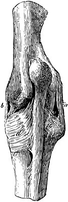 EPS 해외이미지 선 일러스트 미술 검은색 수확 흰색 그림 판화 팔꿈치 해외202004 해외일러스트 컬러 농업 문화예술 신체부위 팔 파일형식 벡터 이미지허브