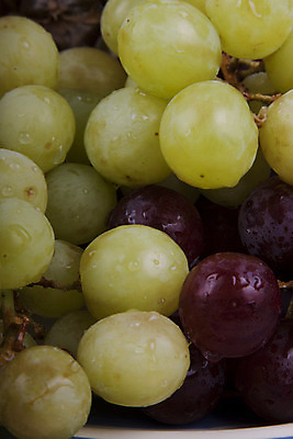 포토 JPG 해외이미지 과일 포도 디저트 건강 사람없음 빨간색 초록색 물 물방울 해외202004 해외포토 자연요소 음식 컬러 파일형식 이미지허브