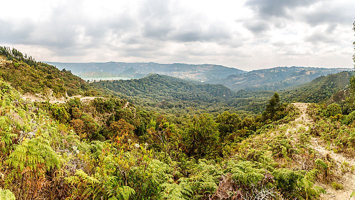 포토 JPG 해외이미지 나무 호수 아프리카 자연 풍경 사람없음 초록색 물 분화구 내추럴 에티오피아 해외202004 해외포토 자연요소 식물 나라 컬러 생태계 화산 파일형식 이미지허브