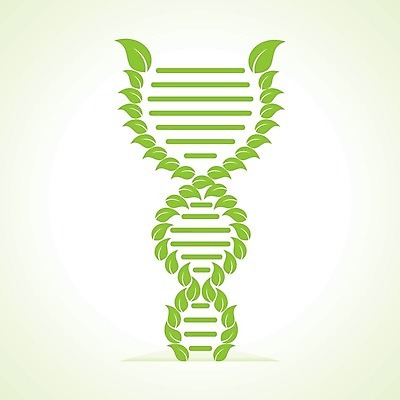 EPS 해외이미지 나무 식물 교육 과학 컨셉 잎 일러스트 자연 건강 초록색 약 성장 DNA 생명공학 허브 심볼 에코 유기농 생태계 뿌리 염색체 내추럴 더블 마약 생태학 유전 해외202004 해외일러스트 웰빙 컬러 의학 환경 파일형식 벡터 이미지허브