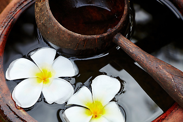 포토 JPG 해외이미지 전통 꽃잎 꽃 아시아 문화 꽃무늬 휴식 사람없음 목재 장식 물 정원 스파 침묵 벚꽃 흰색 신선 도자기 닫기 냄비 순수 묘사 국자 점토 해외202004 해외포토 자연요소 나무 식물 나라 컬러 컨셉 무늬 재료 모션 주방용품 소리 솥 파일형식 이미지허브