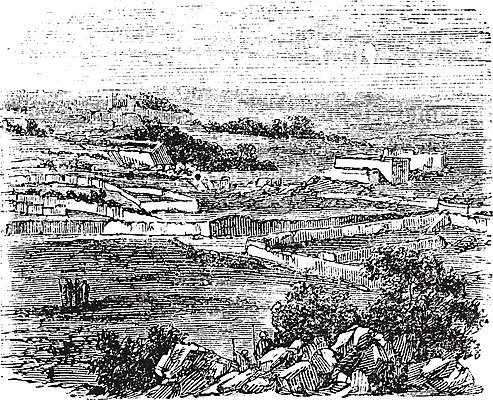 EPS 해외이미지 나무 디자인 기독교 종교 문화 일러스트 미술 야외 마을 검은색 성경 수확 골동품 흰색 예수 역사 재산 인쇄 스케치 그림 복고 정사각형 신성 판화 보관소 순례 신앙심 예루살렘 옛날 지리 해외202004 해외일러스트 도형 식물 컬러 농업 종교용품 문화예술 금융 신_종교 저장 이스라엘 파일형식 벡터 이미지허브