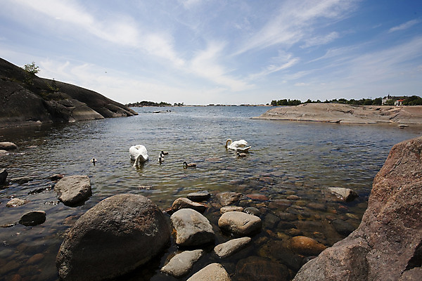 포토 JPG 해외이미지 동물 여자 남자 파도 바다 가족 자연 조류 엄마 풍경 해변 사람없음 물 여름 큼 백조 해외202004 해외포토 자연요소 계절 관계 사람 크기 생태계 파일형식 이미지허브