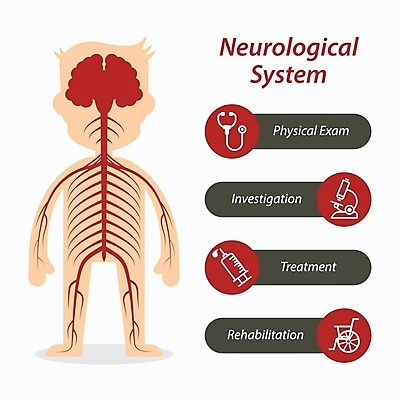 EPS 해외이미지 디자인 줄기 과학 신체 일러스트 해부 건강 사람 내부 약 인포그래픽 의사 오르간 플랫 코드 질병 만화 사건 불안 척추 휠체어 뇌 생물학 시스템 외과 고립 돌봄 타격 해외202004 해외일러스트 식물 교육 감정 의학 모션 뼈 병원 의료진 건반악기 파일형식 벡터 직업 악기 건반 음악 문화예술 이미지허브