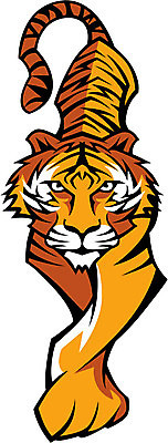 EPS 해외이미지 동물 얼굴 스포츠 신체 일러스트 학교 고등학교 머리 걷기 고양이 줄무늬 호랑이 육식동물 마스코트 발톱 집게발 해외202004 해외일러스트 교육 무늬 포유류 모션 발 신체부위 반려동물 파일형식 벡터 이미지허브