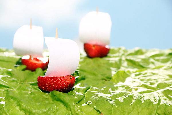 포토 JPG 해외이미지 1 열매 종이 음식 백그라운드 컨셉 2 다이어트 과일 딸기 추상 디저트 아이디어 항해 건강 3 사람없음 빨간색 컬러풀 주방 흰색 신선 그룹 달콤 맛 먹기 함선 고립 숙성 식욕 해외202004 해외포토 식물 컬러 무늬 배_교통 모션 파일형식 이미지허브