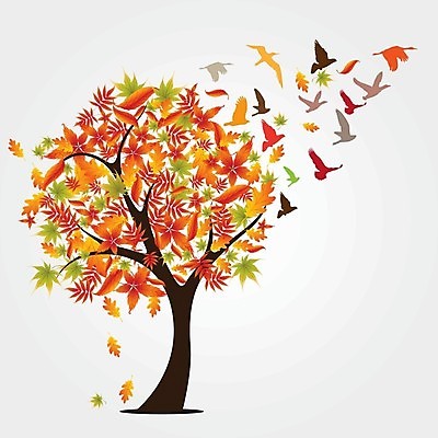 EPS 해외이미지 나무 식물 동물 디자인 계절 실루엣 백그라운드 컨셉 단풍 잎 꽃무늬 오렌지 일러스트 자연 조류 바람 추상 미술 장식 빛 햇빛 태양 노란색 평화 환경 자유 가을 나뭇가지 11월 클립 10월 내추럴 고립 동물상 생태학 카피스페이스 효과 해외202004 해외일러스트 자연요소 교육 꽃 컬러 무늬 과일 날씨 문화예술 촬영기법 조형물 공백 날짜 생태계 파일형식 벡터 이미지허브