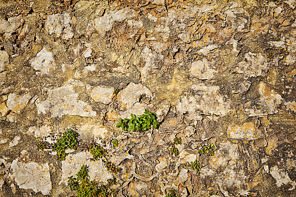 포토 JPG 해외이미지 외관 벽 백그라운드 패턴 건축양식 자연 벽지 표면 벽돌 돌담 사람없음 야외 건물 갈색 블록 거친 묘사 질감 시멘트 내추럴 옛날 해외202004 해외포토 건축물 건축 컬러 무늬 담장 돌_바위 생태계 파일형식 이미지허브
