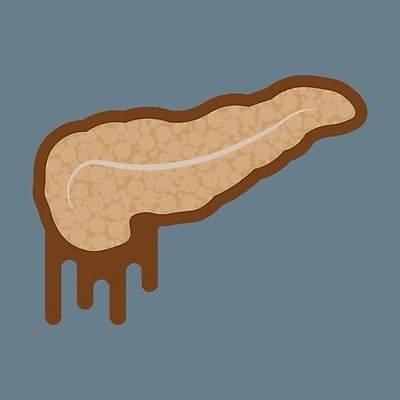 EPS 해외이미지 모델 디자인 포스터 과학 신체 일러스트 해부 건강 미술 사람 내부 그래픽 약 흰색 오르간 질병 만화 심볼 그림 생물학 시스템 방광 췌장 고립 당뇨병 돌봄 복근 엘리먼트 포도당 해외202004 해외일러스트 교육 컬러 의학 모션 근육 문화예술 건반악기 비뇨기관 장기 파일형식 벡터 악기 건반 음악 이미지허브
