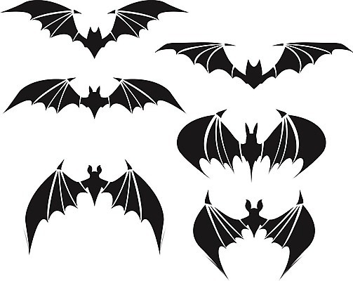EPS 해외이미지 동물 손 디자인 실루엣 야생동물 줄기 날개 일러스트 포유류 하늘 휴가 그래픽 픽토그램 검은색 어둠 할로윈 동굴 야간 위험 공격 신비 무서움 만화 스케치 문신 심볼 오브젝트 사인 공포 육식동물 박쥐 흡혈귀 나쁜 몬스터 미신 트란실바니아 호러 활자 해외202004 해외일러스트 자연요소 식물 감정 컬러 컨셉 모션 촬영기법 미술 신체부위 루마니아 활자판 파일형식 벡터 이미지허브