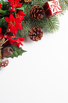 포토 JPG 해외이미지 나무 식물 계절 열매 꽃 잎 크리스마스 겨울 프레임 종류 선물 사람없음 장식 빨간색 초록색 상자 갈색 여러개 버섯 나뭇가지 황금 모서리 선택 정상 묶기 활 정사각형 침엽수 전나무 포인세티아 대각선 거짓 인공 해외202004 해외포토 도형 기념일 선 컬러 다수 컨셉 모션 파일형식 이미지허브