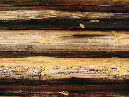 포토 JPG 해외이미지 자연 미술 사람없음 강 가을 러시아 해외202004 해외포토 계절 유럽 문화예술 생태계 파일형식 이미지허브