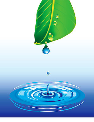 EPS 해외이미지 식물 디자인 물결 파도 백그라운드 컨셉 잎 일러스트 자연 표면 추상 건강 야외 초록색 물 파란색 반사 환경 정원 화목 봄 거품 젖음 성장 흰색 물방울 신선 원형 투명 액체 닫기 떨어짐 이슬 빗방울 순수 유기농 내추럴 고립 해외202004 해외일러스트 자연요소 도형 웰빙 계절 바다 컬러 무늬 모션 비_날씨 생태계 파일형식 벡터 이미지허브