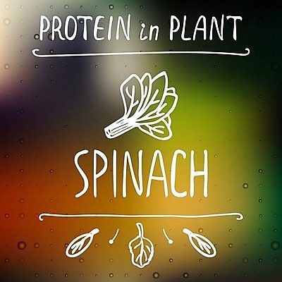 EPS 해외이미지 식물 템플릿 배너 실루엣 스티커 잎 꽃무늬 일러스트 포장 캘리그라피 타이포그라피 초록색 단어 라벨 봄 나뭇가지 낙서 상품 수집 허브 심볼 흔적 메뉴 에코 유기농 배지 시금치 나누기 비네팅 내추럴 단백질 무료 바이오 생태학 엘리먼트 유전자변형 채식주의자 프리미엄 필기체 헤딩 브랜딩 비건 해외202004 해외일러스트 나무 문자 웰빙 계절 교육 꽃 컬러 무늬 채소 프레임 촬영기법 환경 축구 채식 영양소 파일형식 벡터 이미지허브