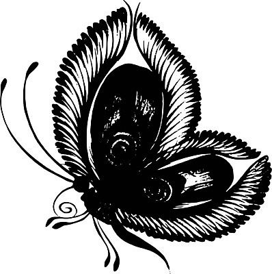 EPS 해외이미지 손 디자인 꽃 나비 백그라운드 잎 겨울 꽃무늬 패턴 일러스트 자연 휴가 새로움 잉크 미술 여러명 장식 여름 검은색 페인트 수확 연도 문신 질감 복고 서리 동쪽 부족 구성 그런지 우크라이나 페이즐리 해외202004 해외일러스트 식물 계절 유럽 컬러 다수 곤충 컨셉 무늬 농업 문화예술 사람 신체부위 방향 생태계 파일형식 벡터 이미지허브