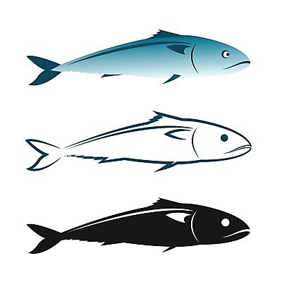 EPS 해외이미지 동물 손 디자인 실루엣 야생동물 음식 바다 백그라운드 일러스트 자연 낚시 육류 어류 미술 그래픽 물 파란색 세트 검은색 수중 회 흰색 신선 시장 왕 만화 참치 해산물 오브젝트 그림 꼬리 지느러미 연어 고등어 대서양 고립 민물 소금물 엘리먼트 청어 해외202004 해외일러스트 자연요소 컬러 식재료 레저 문화예술 촬영기법 신체부위 수중동물 생태계 파일형식 벡터 이미지허브
