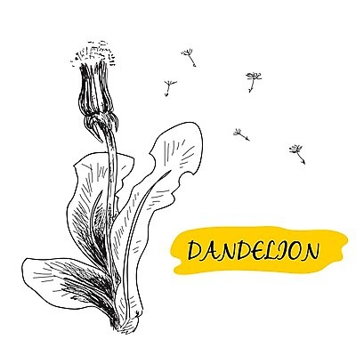 EPS 해외이미지 식물 구름 디자인 꽃 실루엣 줄기 백그라운드 컨셉 꽃무늬 패턴 일러스트 부분 자연 바람 실내 창조 씨앗 공중 초록색 여름 스파 침묵 봄 자유 성장 벚꽃 흰색 민들레 불기 오브젝트 싱글 생물학 장면 부드러움 솜털 내추럴 해외202004 해외일러스트 자연요소 계절 교육 컬러 무늬 모션 날씨 촬영기법 내부 소리 감각 생태계 파일형식 벡터 이미지허브