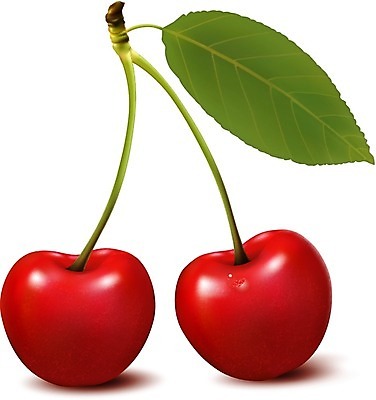 EPS 해외이미지 디자인 계절 열매 음식 줄기 컨셉 잎 2 패턴 다이어트 과일 일러스트 재료 자연 아이디어 그래픽 빨간색 초록색 빛 컴퓨터 정원 주스 봄 체리 그룹 달콤 맛 먹기 오브젝트 그림 유기농 날것 클립 심플 아로마 숙성 채식주의자 해외202004 해외일러스트 식물 웰빙 음료 컬러 무늬 모션 건강 전자제품 생태계 채식 파일형식 벡터 이미지허브