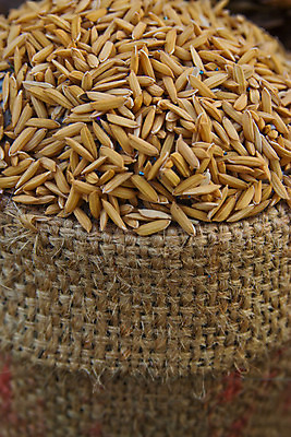 포토 JPG 해외이미지 식물 계절 아시아 음식 줄기 잎 농업 태국 자연 밥 씨앗 동양인 사람없음 컵 초록색 농작물 농장 갈색 노란색 수확 껍질 시골 황금 닫기 낟알 자루 논밭 숙성 해외202004 해외포토 식기 나라 산업 컬러 밭 모션 논 인종 생태계 파일형식 이미지허브