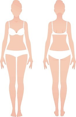 EPS 해외이미지 모양 템플릿 패턴 신체 일러스트 해부 서기 숫자 흰색 가득함 날씬함 심플 길이 해외202004 해외일러스트 문자 컬러 무늬 의학 모션 몸매 파일형식 벡터 이미지허브