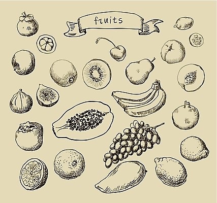 EPS 해외이미지 음식 백그라운드 오렌지 일러스트 포도 바나나 키위 그래픽 장식 세트 상점 정원 수확 신선 체리 낙서 사과 스케치 수집 레몬 그림 유기농 복고 복숭아 손그림 자두 한조각 무화과 내추럴 바이오 살구 스크랩북 천도복숭아 파파야 해외202004 해외일러스트 1 웰빙 농업 과일 미술 열대과일 파일형식 벡터 이미지허브