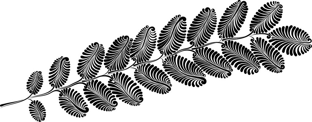 EPS 해외이미지 식물 실루엣 잎 채소 일러스트 자연 그래픽 장식 에코 유기농 아카시아 바이오 해외202004 해외일러스트 나무 웰빙 촬영기법 환경 생태계 파일형식 벡터 이미지허브