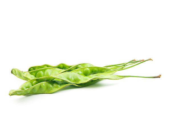 포토 JPG 해외이미지 음식 콩 사람없음 가로 초록색 신선 양념 허브 향신료 흰배경 꼬투리 해외202004 해외포토 식물 컬러 백그라운드 곡류 흰색 향미료 파일형식 이미지허브