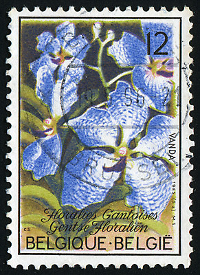 포토 JPG 해외이미지 식물 꽃잎 꽃 꽃무늬 자연 봉투 취미 사람없음 컬러풀 머리 정원 수확 골동품 성장 벚꽃 신선 신용카드 난초 메시지 편지 수집 복고 주소 우표 내추럴 옛날 우체국 해외202004 해외포토 컬러 무늬 농업 신체부위 금융 생태계 기관 파일형식 이미지허브