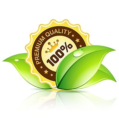 EPS 해외이미지 디자인 배너 잎 곡선 일러스트 성공 컴퓨터그래픽 라벨 심볼 배지 고립 구식 생태학 프리미엄 스타일 부족함 해외202004 해외일러스트 식물 교육 선 컨셉 프레임 그래픽 파일형식 벡터 이미지허브