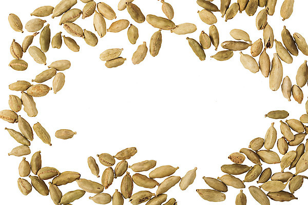 포토 JPG 해외이미지 식물 음식 백그라운드 재료 프레임 건조 요리 씨앗 사람없음 초록색 약 흰색 양념 맛 인도인 허브 향신료 매움 향기 아로마 향 고립 카피스페이스 해외202004 해외포토 외국인 컬러 컨셉 의학 동양인 공백 냄새 향미료 파일형식 이미지허브