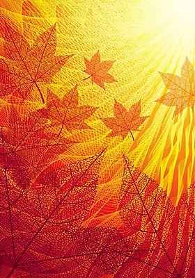 EPS 해외이미지 식물 디자인 계절 백그라운드 단풍 잎 오렌지 일러스트 모션 자연 추상 건조 사람없음 가로 빨간색 빛 컬러풀 햇빛 노란색 환경 가을 투명 황금 떨어짐 허브 섬유 광 카피스페이스 해외202004 해외일러스트 컬러 컨셉 무늬 과일 태양 공백 직물 생태계 파일형식 벡터 이미지허브