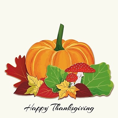 EPS 해외이미지 식물 계절 백그라운드 단풍 잎 꽃무늬 오렌지 일러스트 자연 호박 휴가 빨간색 초록색 컬러풀 노란색 버섯 할로윈 가을 축하 추수감사절 카피스페이스 해외202004 해외일러스트 꽃 기독교 컬러 컨셉 무늬 채소 과일 공백 생태계 파일형식 벡터 이미지허브