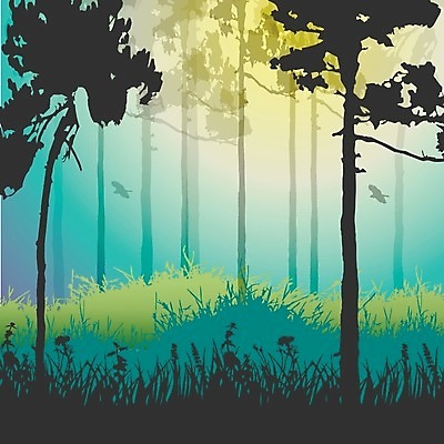 EPS 해외이미지 모양 나무 식물 디자인 실루엣 줄기 백그라운드 잎 꽃무늬 패턴 일러스트 자연 미술 그래픽 장식 초록색 검은색 성장 흰색 나뭇가지 소나무 화려 고독 숲 큼 버드나무 오브젝트 윤곽 멀리 전나무 자작나무 고립 미루나무 엘리먼트 재 가문비나무 해외202004 해외일러스트 꽃 감정 컬러 컨셉 무늬 문화예술 촬영기법 크기 생태계 파일형식 벡터 이미지허브