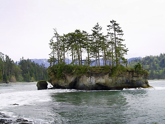 포토 JPG 해외이미지 나무 식물 공원 모래 파도 바다 섬 자연 조류 풍경 사람없음 야외 물 여름 환경 봄 캠핑 숲 캠핑장 태평양 워싱턴 해외202004 해외포토 자연요소 동물 계절 공공시설 레저 미국 생태계 파일형식 이미지허브