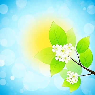 EPS 해외이미지 나무 디자인 꽃 백그라운드 일러스트 자연 하늘 추상 불꽃 그래픽 여름 태양 놀람 봄 나뭇가지 신선 그리너리 해외202004 해외일러스트 자연요소 식물 계절 감정 무늬 불 표정 생태계 파일형식 벡터 트랜드컬러 이미지허브