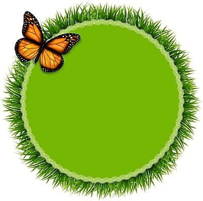 EPS 해외이미지 동물 디자인 배너 종이 야생동물 나비 곤충 백그라운드 스티커 날개 오렌지 일러스트 자연 생물 프레임 요정 미술 경사 그래픽 장식 빛 컴퓨터 컬러풀 꼬리표 라벨 원형 황금 고급 우아함 신비 오브젝트 그림 공상 나방 내추럴 고립 단아함 변태 엘리먼트 이국적 해외202004 해외일러스트 도형 컬러 컨셉 과일 문화예술 전자제품 생태계 파일형식 벡터 이미지허브