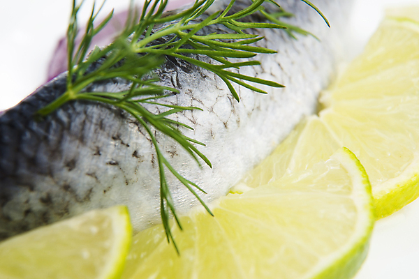 포토 JPG 해외이미지 전통 문화 바다 조각 과일 부분 양파 파슬리 노르웨이 어류 사람없음 그룹 자르기 레몬 허브 해산물 향신료 준비 피클 소금 대서양 토막 고립 딜 스칸디나비아 식초 절임 청어 회향 해외202004 해외포토 식물 유럽 음식 채소 모션 수중동물 향미료 파일형식 이미지허브