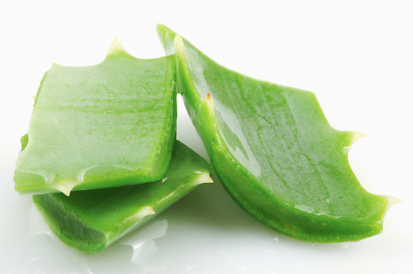 포토 JPG 해외이미지 식물 꽃 줄기 백그라운드 잎 자연 선인장 건강 사람없음 초록색 물 빛 약 우주 주스 활발 젖음 사막 성장 흰색 신선 가시 닫기 떨어짐 허브 피부 순수 묘사 피부관리 스파이크 고립 넘어짐 돌봄 알로에 억울 해외202004 해외포토 자연요소 감정 음료 컬러 컨셉 의학 모션 신체부위 뷰티 생태계 파일형식 이미지허브