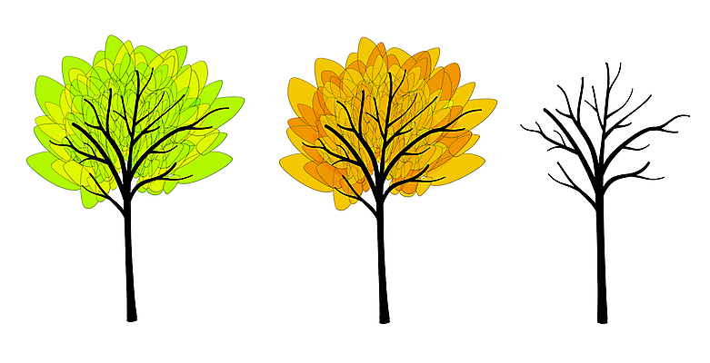 포토 JPG 해외이미지 나무 디자인 계절 겨울 일러스트 자연 미술 사람없음 장식 초록색 봄 가을 그림 고립 해외202004 해외포토 식물 컬러 문화예술 생태계 파일형식 이미지허브