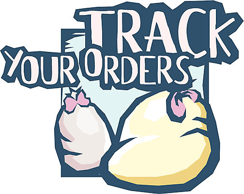 EPS 문자 기호 알파벳 일러스트 사람없음 홈페이지 웹 운송업 배송 추적 배송조회 조회 국내일러스트 영어 산업 인터넷 모션 파일형식 벡터