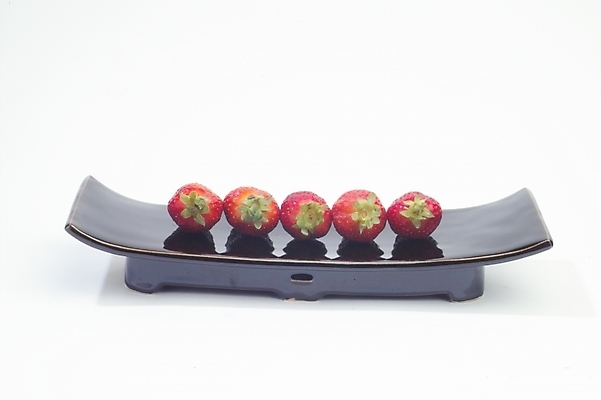 포토 JPG 식물 접시 열매 과일 딸기 사람없음 농작물 빨간딸기 왕딸기 국내포토 식기 농업 파일형식