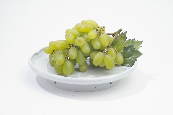 포토 JPG 식물 그릇 접시 잎 과일 포도 사람없음 초록색 여름 농작물 청포도 입하 국내포토 식기 계절 컬러 농업 절기 파일형식